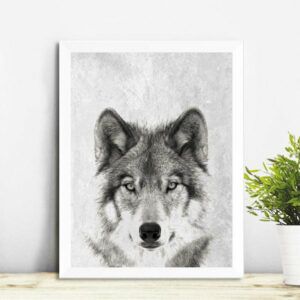 black and white wolf native american canvas f5970 1