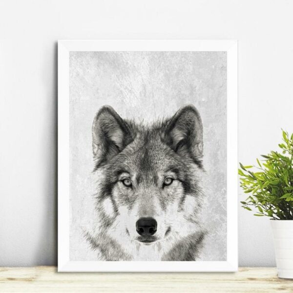 black and white wolf native american canvas f5970