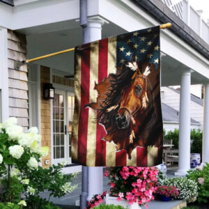 native american horse american us flag