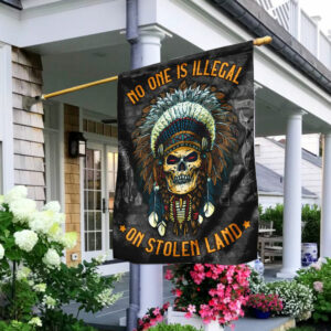 no one is illegal on stolen land native flag