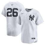 DJ LeMahieu New York Yankees Nike Home Limited Player Jersey - White - 49Native
