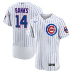Ernie Banks Chicago Cubs Nike Home Retired Player Jersey - White - 49Native