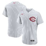 Cincinnati Reds Nike 2022 MLB at Field of Dreams Game Team Jersey - White - 49Native