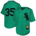 Frank Thomas Chicago White Sox Mitchell & Ness Youth Cooperstown Collection Mesh Batting Practice Jersey - Green - 49Native
