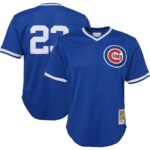 Ryne Sandberg Chicago Cubs Mitchell & Ness Youth Cooperstown Collection Mesh Batting Practice Jersey - Royal - 49Native