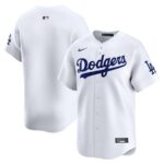 Los Angeles Dodgers Nike Youth Home Limited Jersey - White - 49Native