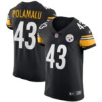 Troy Polamalu Pittsburgh Steelers Nike Retired Player Elite Jersey - Black- 49Native