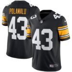 Troy Polamalu Pittsburgh Steelers Nike Retired Player Limited Alternate Jersey - Black- 49Native