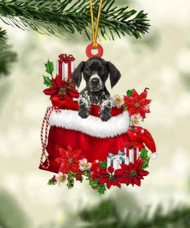 German Shorthaired Pointer In Gift Bag Christmas Ornament, Christmas Gift, Christmas Tree Decorations, Christmas Ornament 2023