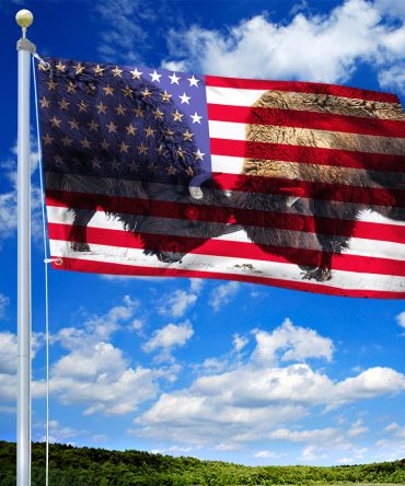 Bison American Grommet Flag Huge American Bison