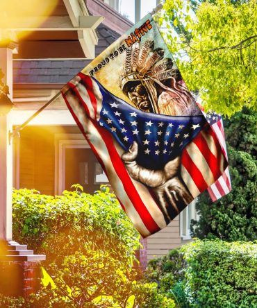 Native American Flag