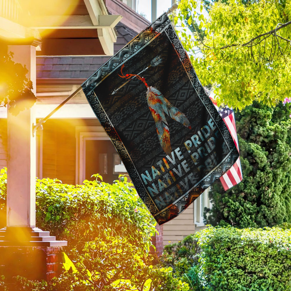 Native American Flag