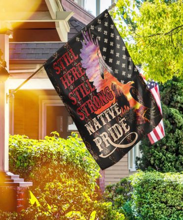 Native American Pride Flag