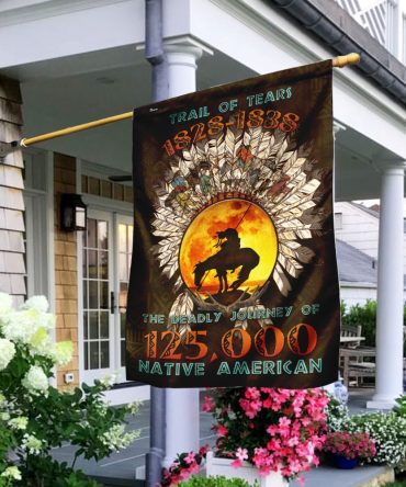 The Trail Of Tears Native American Flag